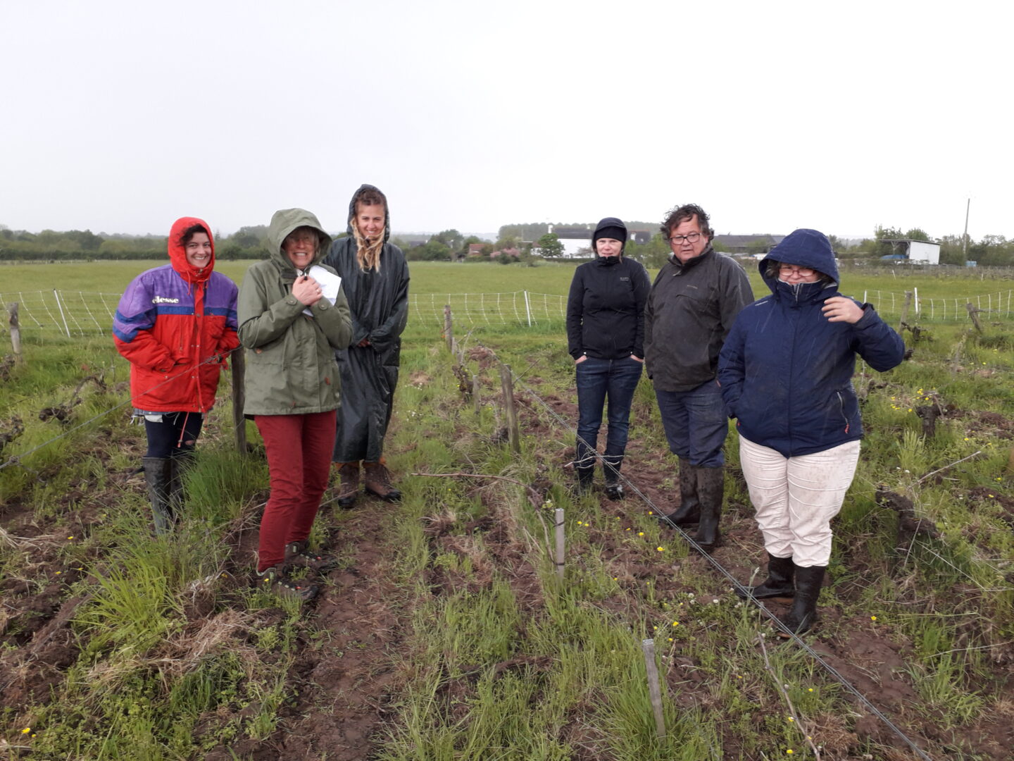 Chaque année du projet Homéo-Iso-Viti-Bio, les vignerons impliqués se retrouvent et échangent leurs expériences.