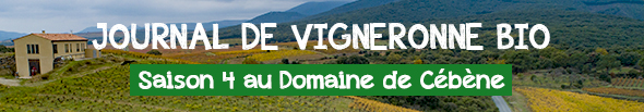 VITISBIO