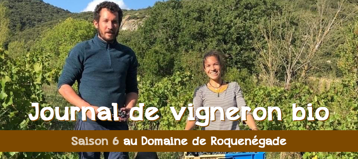 Saison6