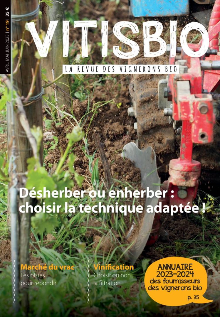 Vitisbio n°19