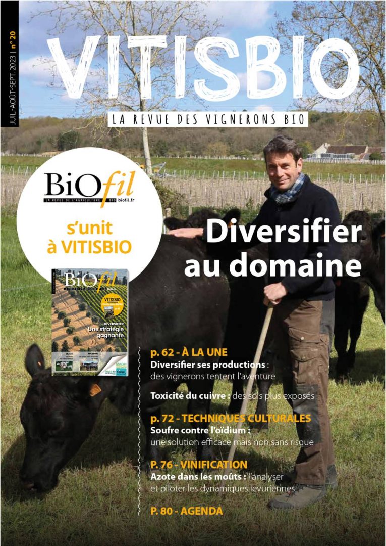 Vitisbio n°20