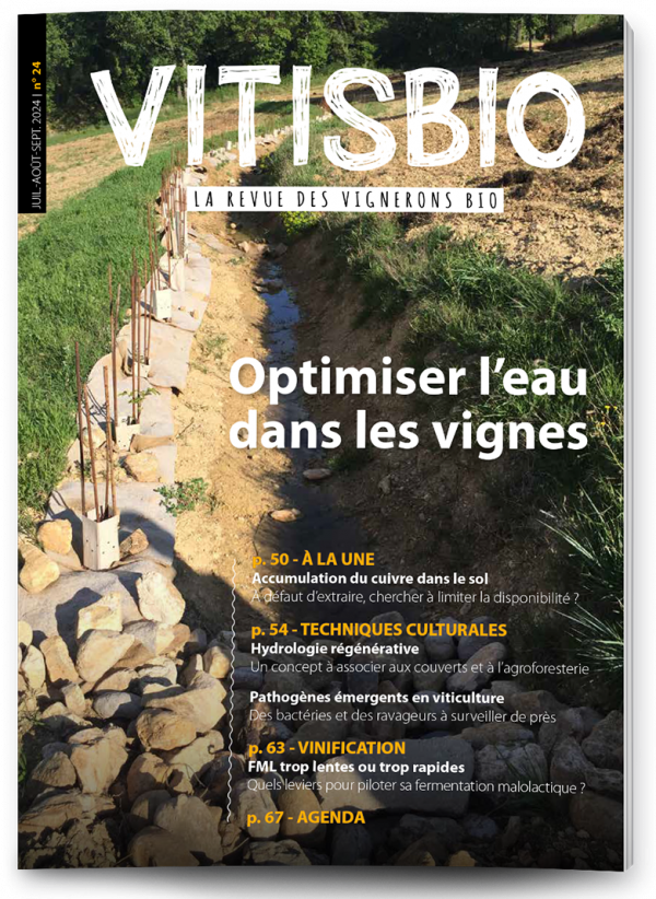 Vitisbio n°24 + Biofil n°154  |  Juillet - août - septembre 2024