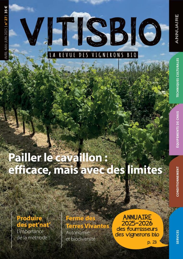 Vitisbio n°27