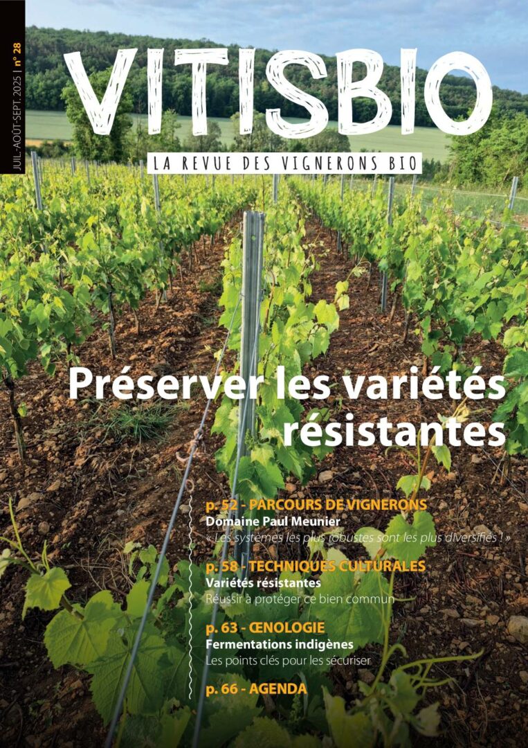 Vitisbio n°28