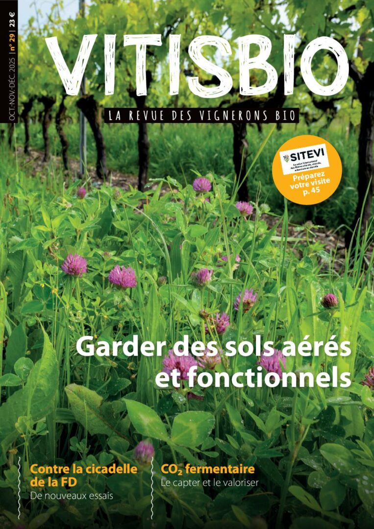 Vitisbio n°29